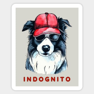 Border Collie Indognito Sticker